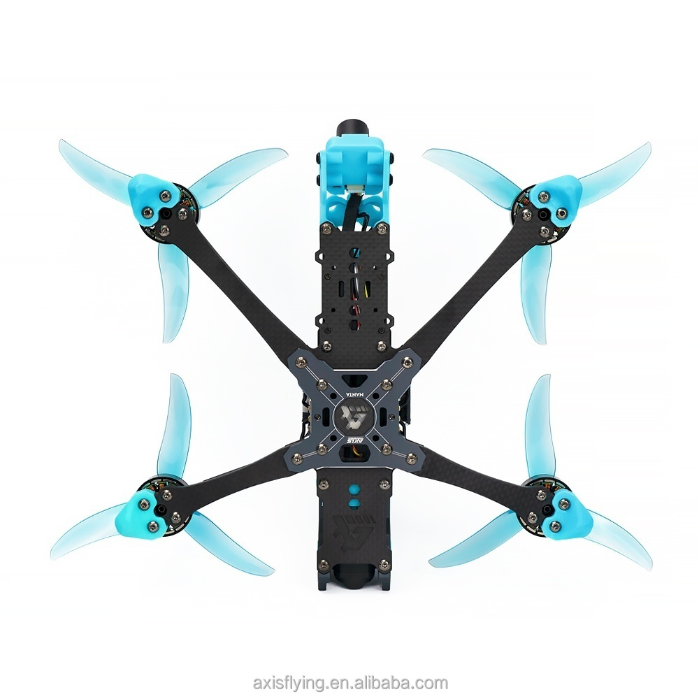 2025 액시스플라잉 만타 5 DC(데드캣) 워크스네일 - Walksnail Avatar Hd Pro Kit 리뷰 및 가격